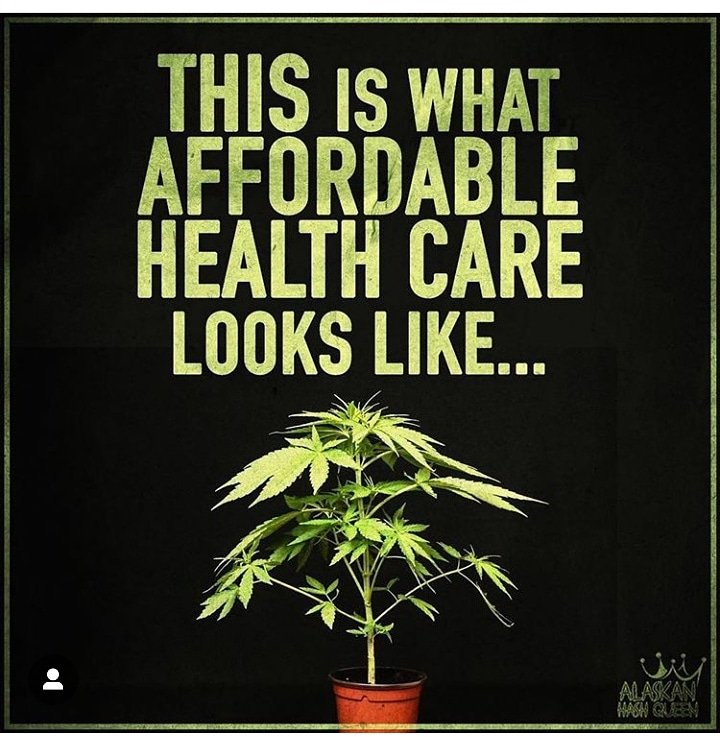 BalanceEsp's tweet photo. #Affordable #HealthCare!π±
π--> https://t.co/5KpQTSlLbr
#CBDOIL #hempoil #ESPBalance #anxiety #pain #seizures #cancer #joint #jointpain https://t.co/6oUdsQMaqX