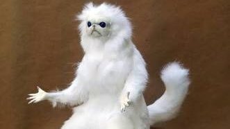 DoerAndDie's tweet image. Yo tratando de decidir que mierda siento con el final #GameOfThronesFinale