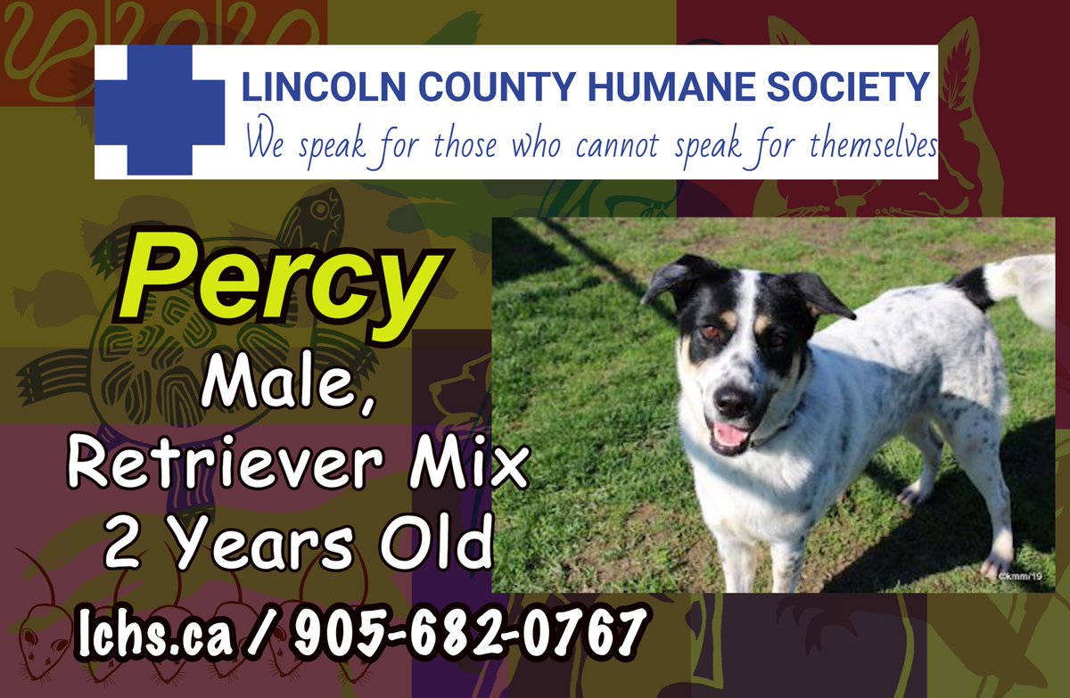 spca lincoln
