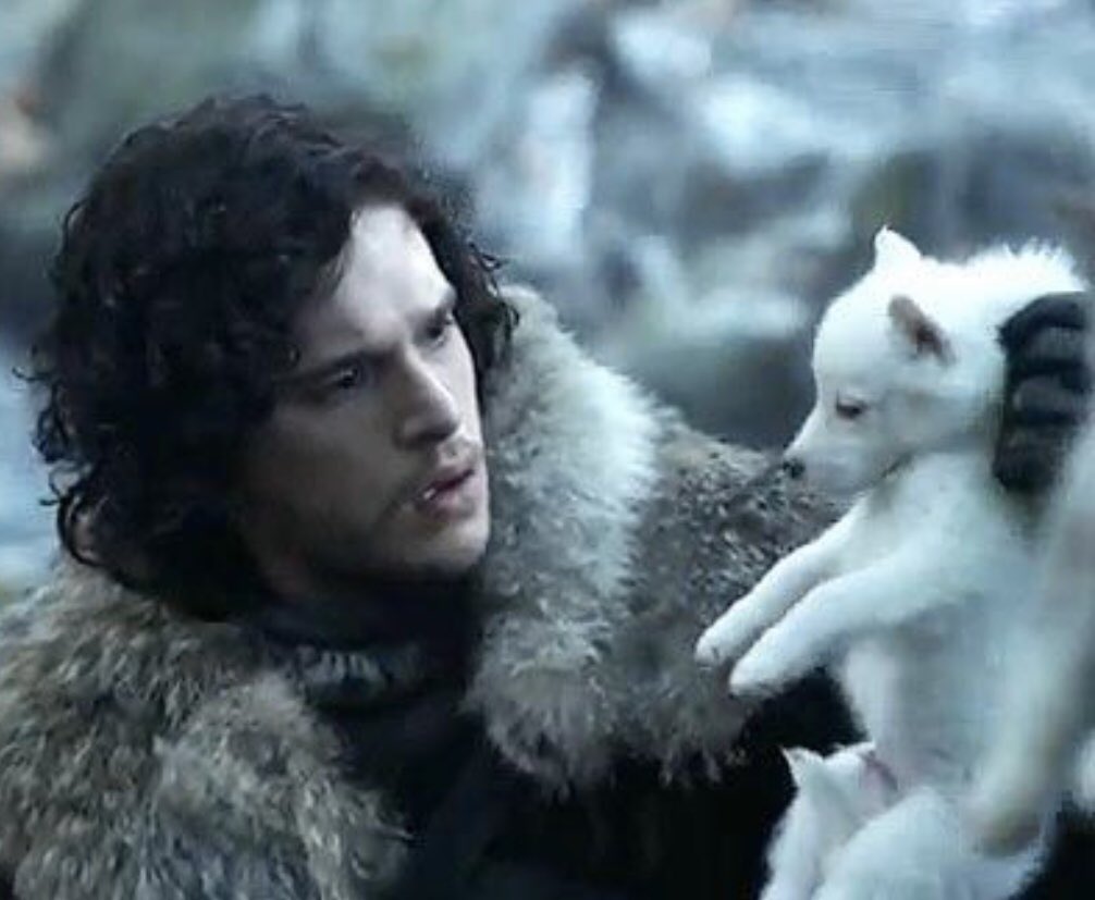 MissTikiBoo's tweet photo. It was always the story of the Stark children. Right from the beginning. Everything came full circle. And the #bestgoodboyever finally got his pat #GameofThronesFinale https://t.co/AXtkb1YGoD