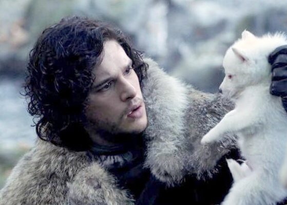 DocOCNina's tweet photo. Ghost.. Yay!! True Love Wins #GameOfThronesFinale #GameOfThrones https://t.co/T2PYuxbtJx
