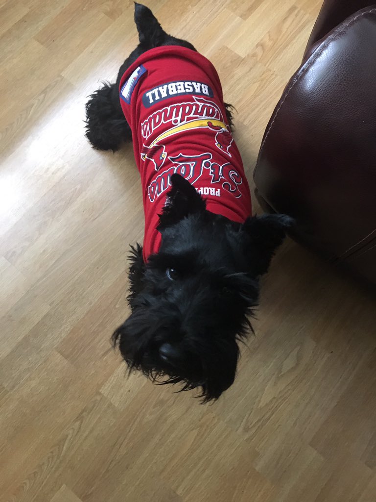jarmantwins's tweet photo. @Cardinals Always have loved me some Dex!! So much so, my dog is named after him!! #dexterhowler #cardsfanslovedex #dexterrocks @DexterFowler https://t.co/3k0e3bzn3u