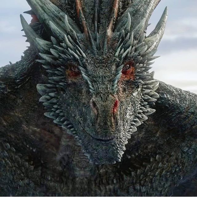 OneLameShark's tweet photo. Let's hear it for the REAL protagonist of #GameofThrones, because he's the only character that I even remotely care about anymore. https://t.co/dtcCO6gP73