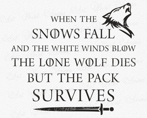 Shbm1112's tweet photo. And the pack survived!! #Starks stronger than ever. #BranStark is the ruler of the seven kingdoms, #SansaStark is queen in the North, #JonSnow is the Lord Commander and #AryaStark is Christopher Columbus. Will miss you #GameofThrones. Now my watch has ended!! #GOTFinale https://t.co/YlJYKIoKPF