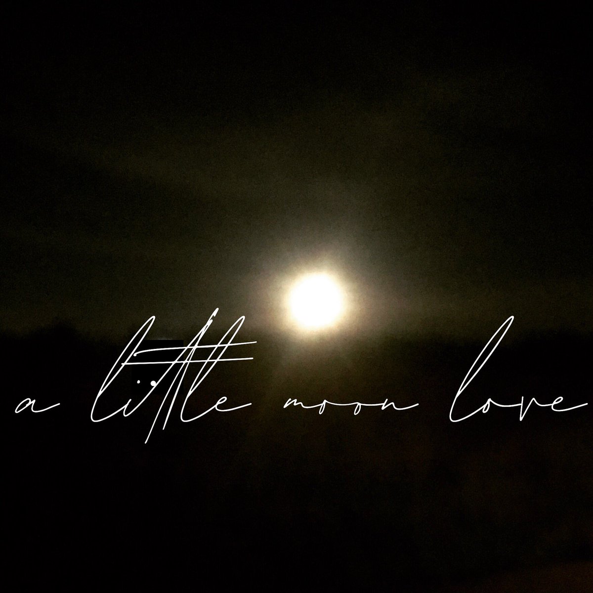 TalkofTownLOVE's tweet photo. #FullMoonInScorpio #love on a #sacred #sunday https://t.co/e23s9a9xQR