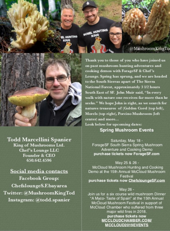 We are leading a mushroom hunting adventure followed by a cooking demo in the Shasta-Trinity National Forest on Saturday May 25 and Sunday 26 in celebration of the 15th Annual McCloud mushroom Festival. Space is limited, book now at chefsloungesf.com for shroomy good time!