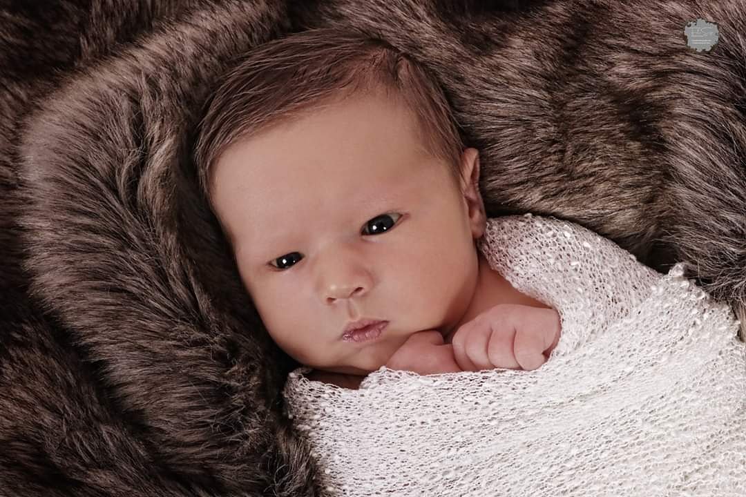 FotoSuse (@fotosusemunkelt) on Twitter photo 