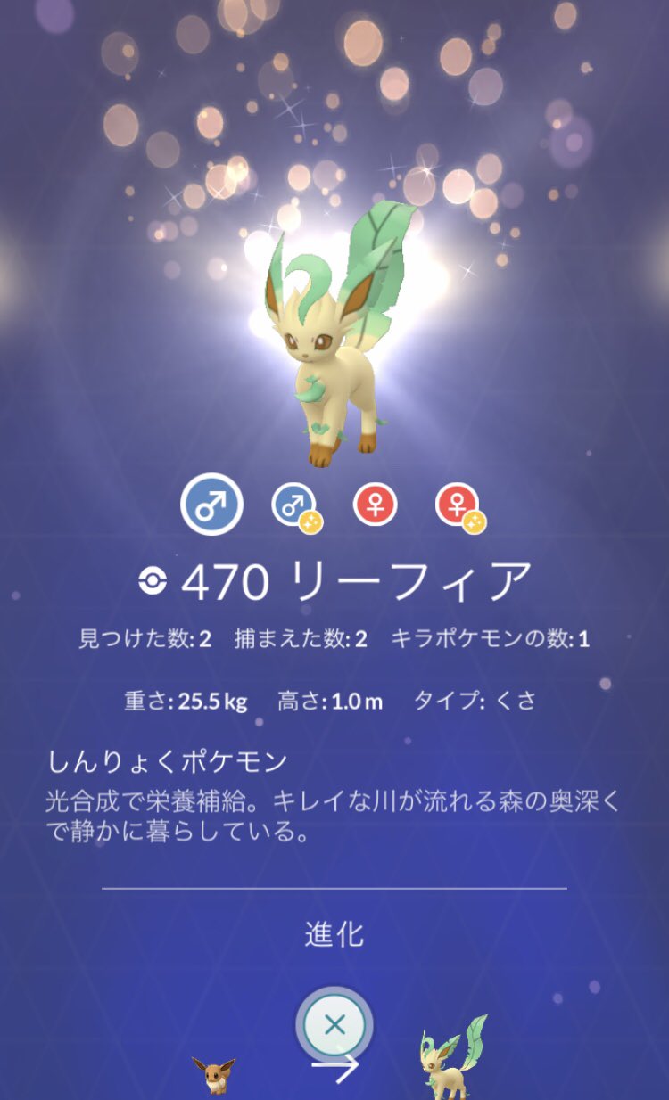 Norikai ポケモンgo図鑑状況 リーフィア グレイシア ジバコイルは色違い キラ オスメス全て図鑑 埋め達成 ダイノーズのみキラ埋まらず ノズパスは出現自体少ないからキラポケモンになりづらいのが難点 ポケモンgo T Co Ucdc6enida Twitter