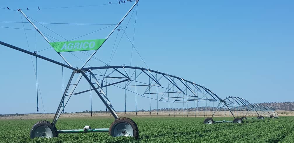 Kwenantle was given a 15 year lease by BDC end of 2016. In 3years they are almost at full production; the fields include 150 hectares of white maize, 350 hectares of sugar beans, 2 hectares of tomatoes and butternuts and 10 hectares of lucerne expected to harvest next month.