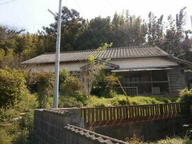 ここはトトロの森か