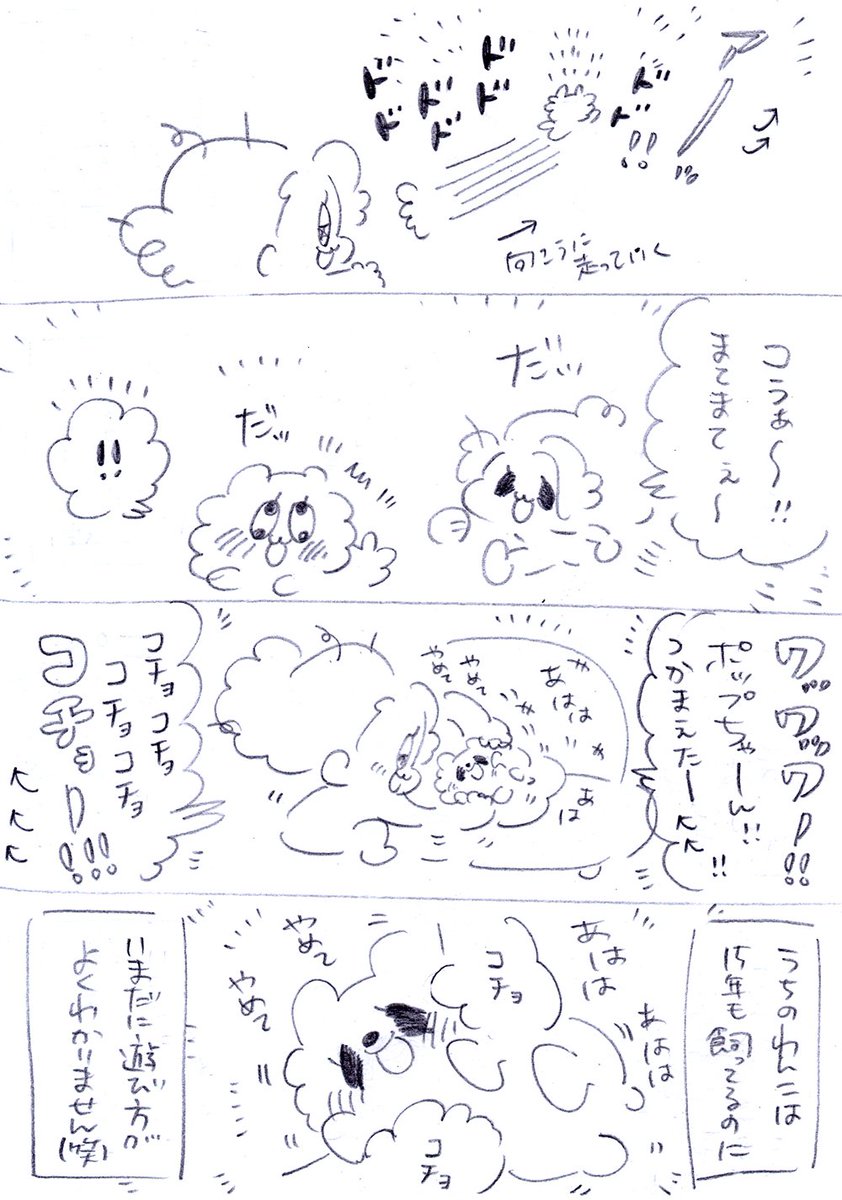 ただの日記なのですが、うちのおばあワンのことを描いておく 