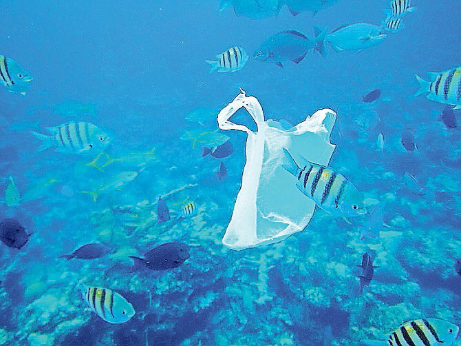 PreventOcean's tweet photo. #preventoceanplastic is here to help solve the #oceanplastic problem #pollution is harming our world in unimaginable ways.

Please support efforts to clean up the #ocean so the animals that call it home don’t have to live in our garbage!

@PreventOcean https://t.co/9AFkdgLjmi