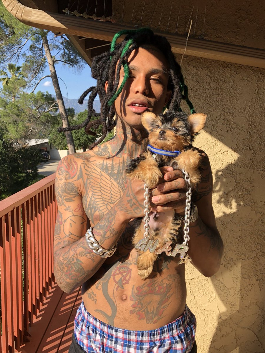 lilgnar's tweet photo. everybody !  — say hi 2 my new baby boy 🐶💚 https://t.co/St4ac7SHLS