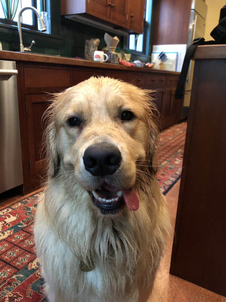 ewarren's tweet image. “I hate what the rain does to my hair.”