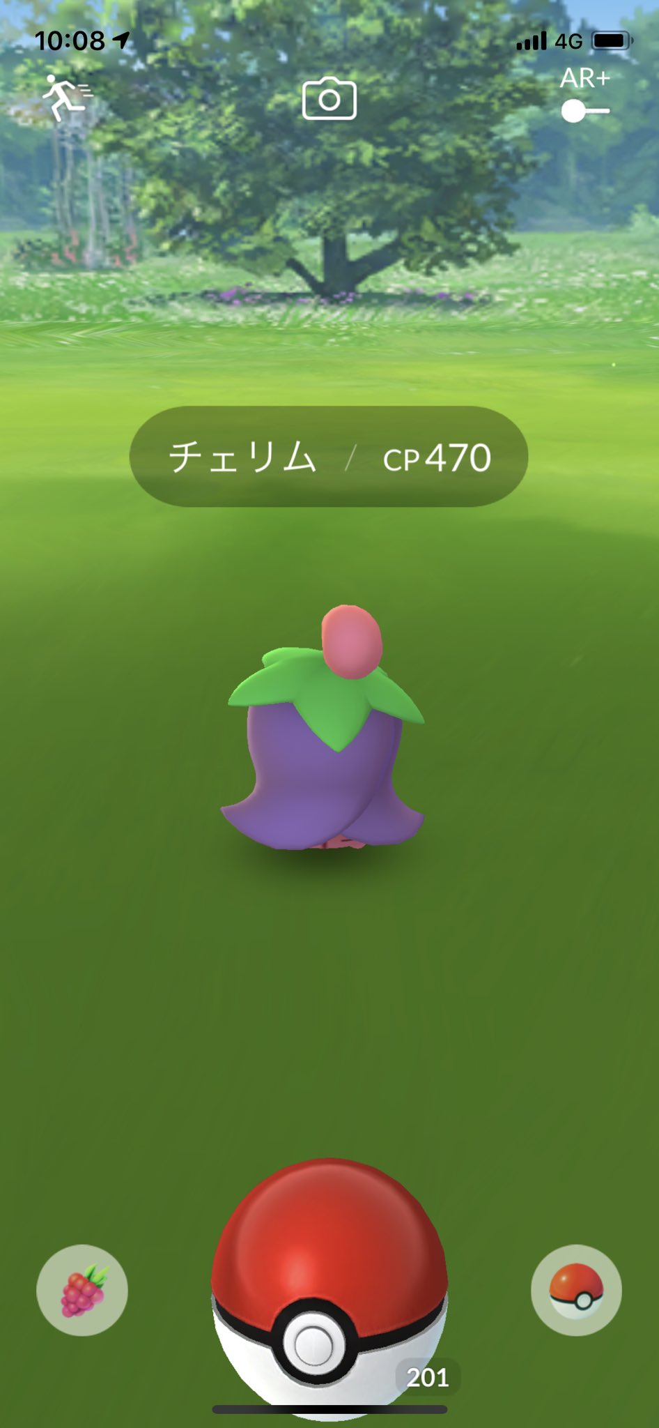 ポケモンgo攻略 Gamewith チェリムのフォルムについて チェリムは2種類のフォルムがありますが 天候によってどちらのフォルムが出現するかが変わるようです 晴れ以外はネガ 晴れはポジフォルムが出現します 天候が変わる前に出現していた場合