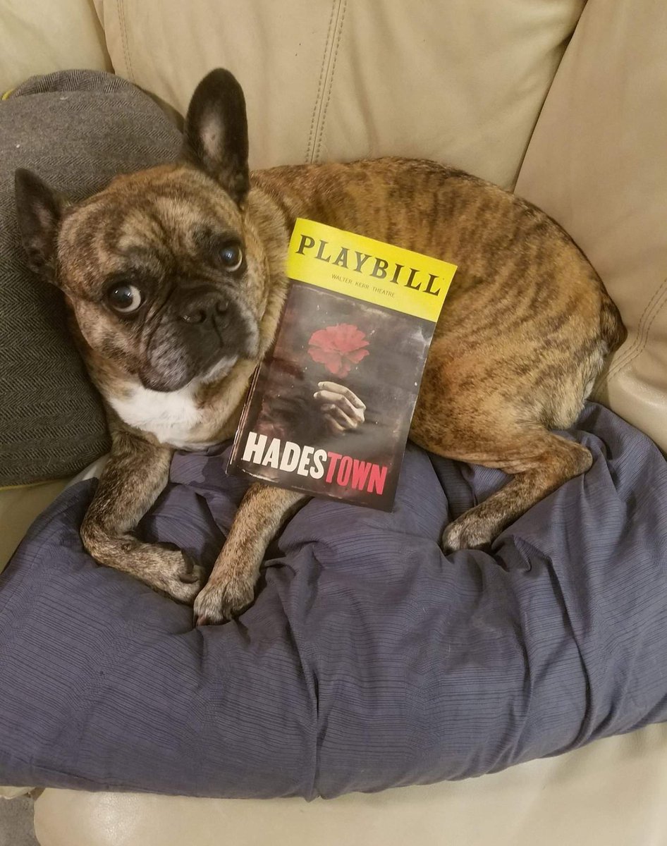 Hadestown Auf Twitter All Aboard The Cast Of Hadestown Took The Stage At Livekellyryan This Morning