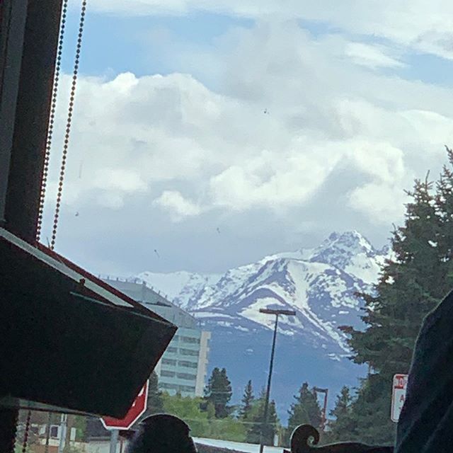 Shawn Hughes (📍Orlando, FL ) tweet media