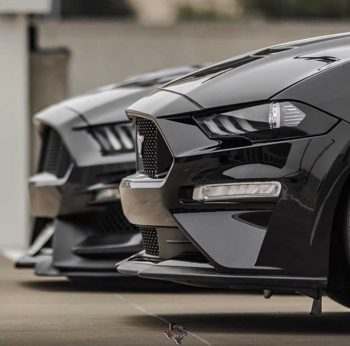 only_mustangs's tweet image. Left or Right? 🤩⛈