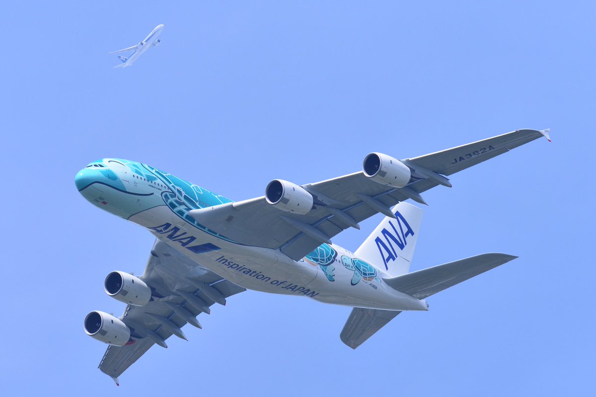 TaccaonA's tweet photo. ホヌ2号機、無事に成田空港に到着しました！
Welcome to Japan , Kai !
待ってましたよ〜😊
はるか上空をいくNH112便と一瞬絡んで、上空から祝福を受けているかのようでした！ https://t.co/8wS19Umsac