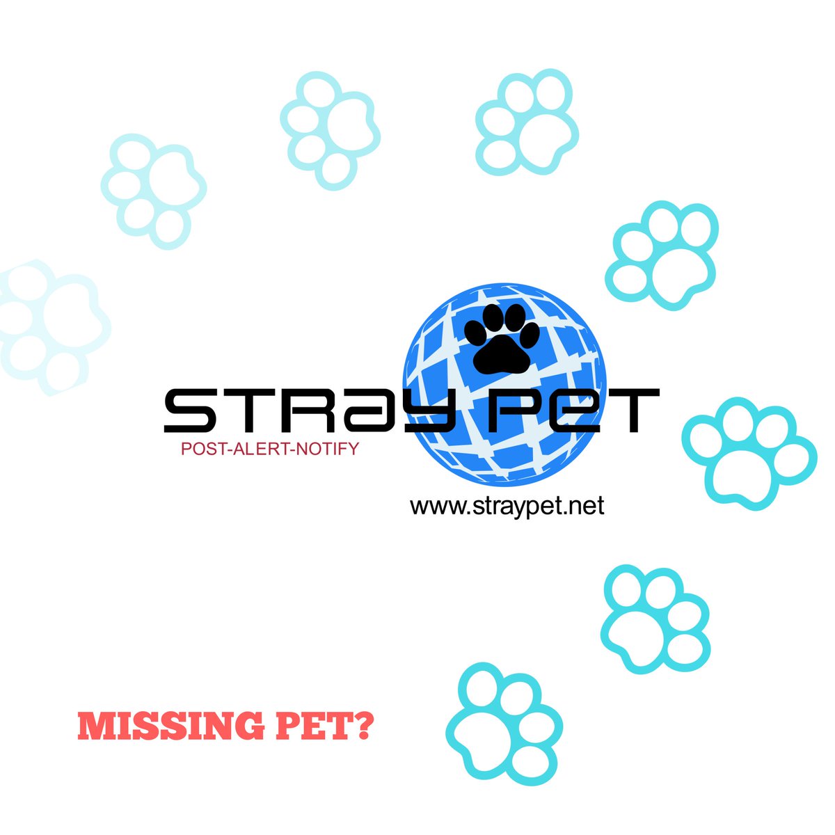 StraypetM's tweet image. #lostpets #straypet #dogfinder #missingdog #lostcat #lostdog