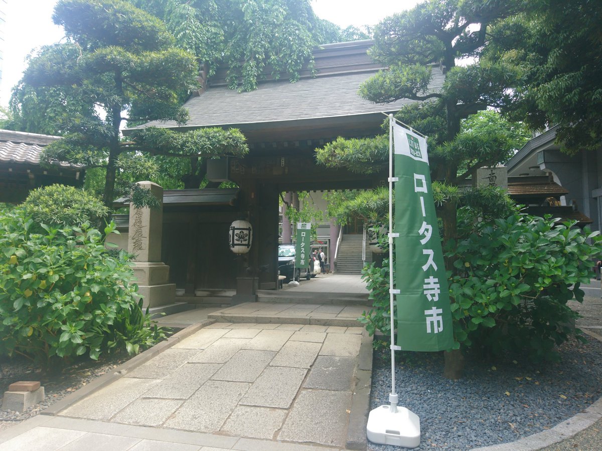 ロータス寺市 Twitter Search Twitter