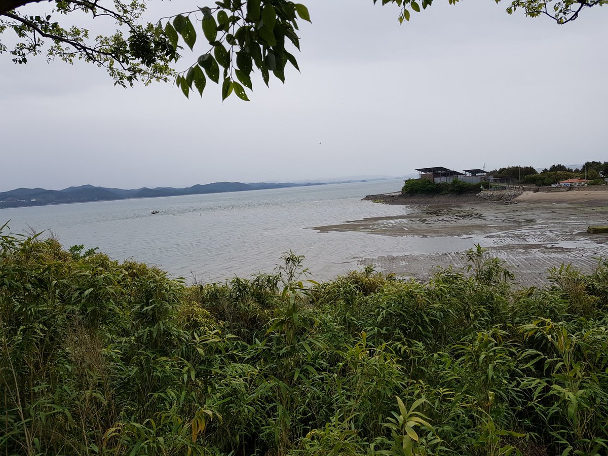 nasoyul's tweet photo. 죽도3 https://t.co/s3sOGXo3qA
