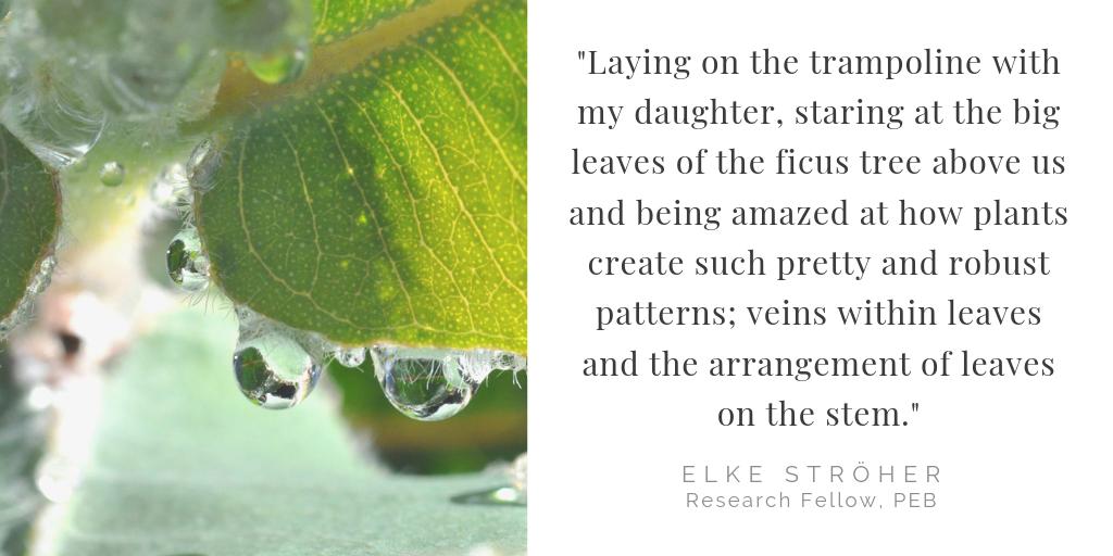 PlantEnergyBiol's tweet photo. Happy International Fascination of Plants Day!

We asked our plant energy biologists what fascinates them about plants. 

@PlantDay18May #PlantDay #plantenergybiol #plantsci https://t.co/KCGA5piAv6