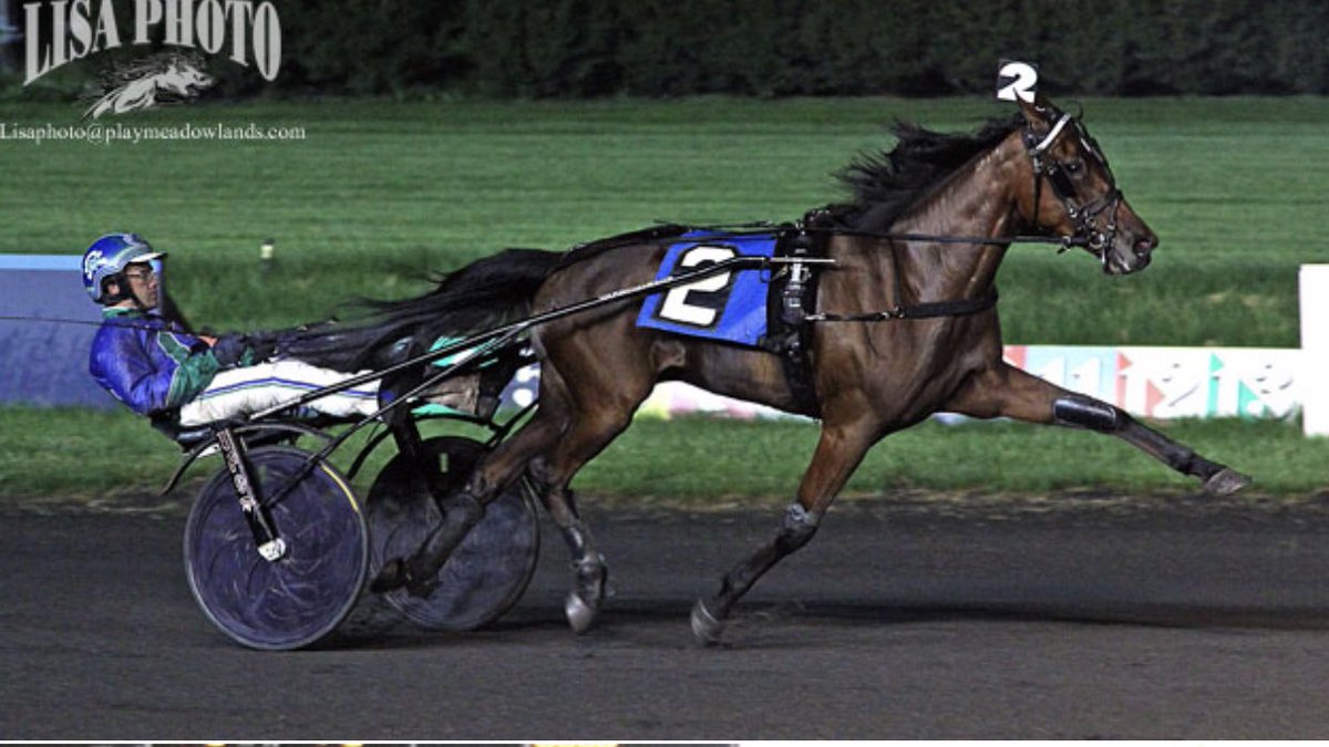 Queen Of Trix made the front with @mccarthya86 and never looked back! Scoring in 1:55.4 in NJ Sire Stake action for 3 yr old filly trotter! 🌟 #PlayBigM #HarnessRacing #NJSireStakes #Winning