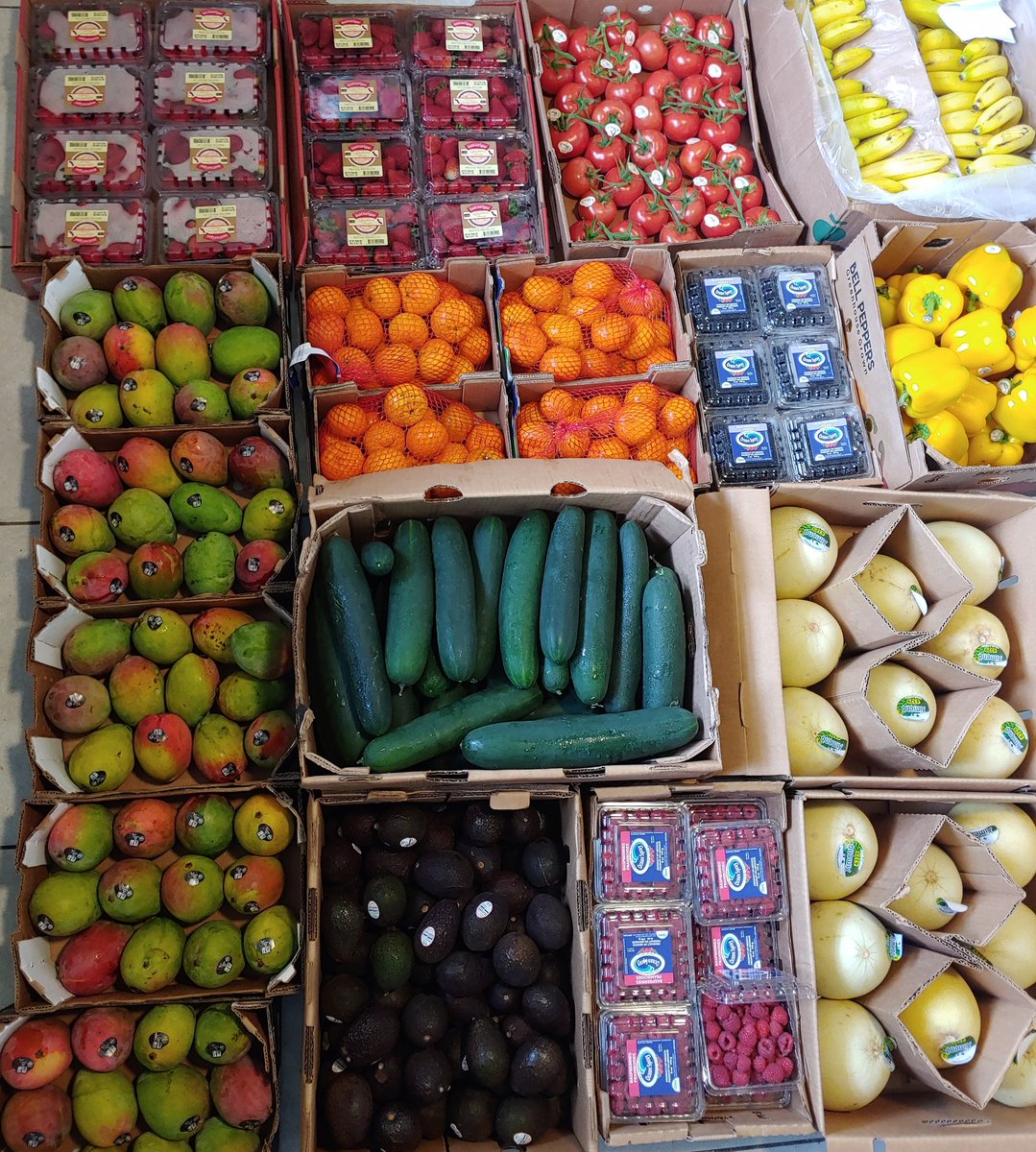 Most people have expensive phones, cars, shoes, jewelry, etc but they say fruit is too expensive. Bananas are around 38 cents per pound but you buy dead animal flesh for way more. Prioritize your health. This is our food haul. Eat to live
#fruitthefuckup
#foodhaul