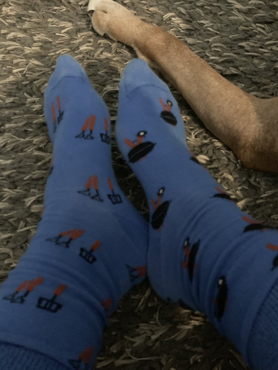 ssieder's tweet photo. @stevestone loving the sock game... I’m trying to bring on the spring with mine while watching @whitesox baseball tonight! https://t.co/Aq0f9OzNHA