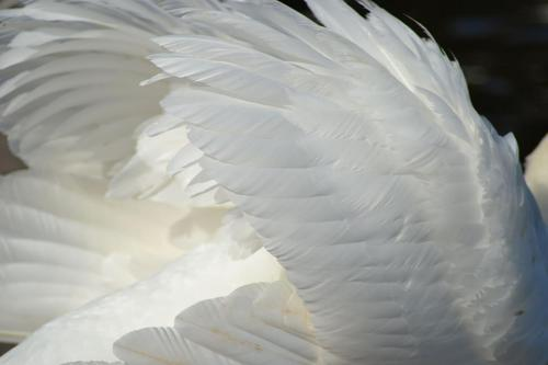 >>　Ｄａｄｄｙ＇ｓ　Ｌｉｔｔｌｅ　Ａｎｇｅｌ　<<

            " 𝕊𝕆𝕄𝔼𝔻𝔸𝕐 𝕐𝕆𝕌'𝕃𝕃 𝕊𝔼𝔼 𝕋ℍ𝔼 𝕋ℝ𝕌𝕋ℍ 𝔽ℝ𝕆𝕄 𝕃𝕀𝔼𝕊. "

=================

> ʏᴏᴜɴɢ ᴀɴɢᴇʟ ᴀᴄᴄᴏᴜɴᴛ
> ᴀɢᴇ : 5 
> ᴍᴜʟᴛɪᴠᴇʀꜱᴇ 
> ᴘᴀʀᴀɢʀᴀᴘʜ / ꜱᴇᴍɪ ᴅᴇᴛᴀɪʟ
> ᴍᴏᴅ ɪꜱ 18+