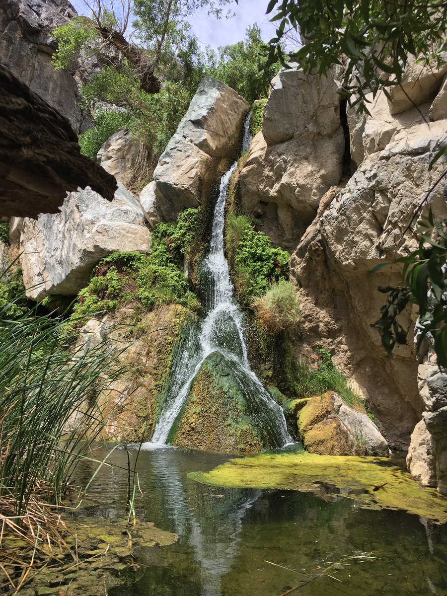 NathanANiemi's tweet photo. Darwin Falls, Death Valley National Park with @MichiganEarth Research Coordination Network @NARLEErodents field trip. https://t.co/bXoez01ncI