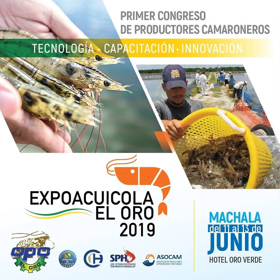 Primer Congreso de Productores de Camarón. Machala del 11 al 13 de Junio- hotel Oro Verde. Inf.: 07 2931556 • 0992122182
E-mail: camaraproductorescamaroneloro@hotmail.com
Stands: Niza Cely Icaza 0999 604 204, email: nizacely@gye.satnet.net - nizacely@gmail.com