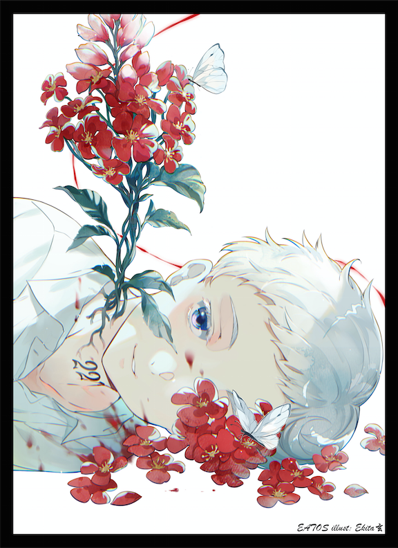 SC2019 Summer 新作発表① ノーマン、エマ&レイ の スリーブ と プレイ