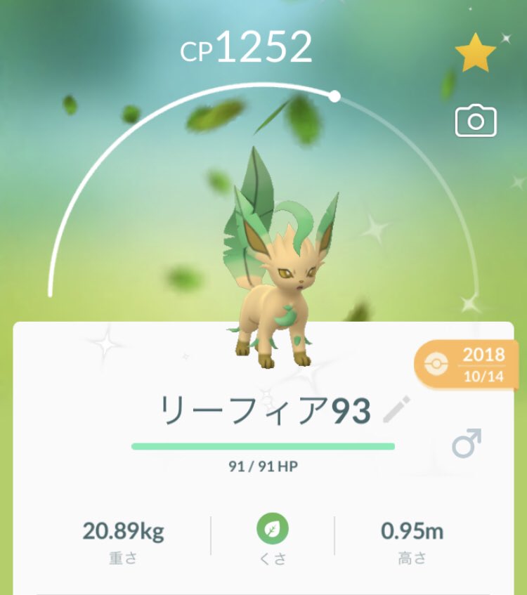 色違いリーフィア Twitter Search Twitter