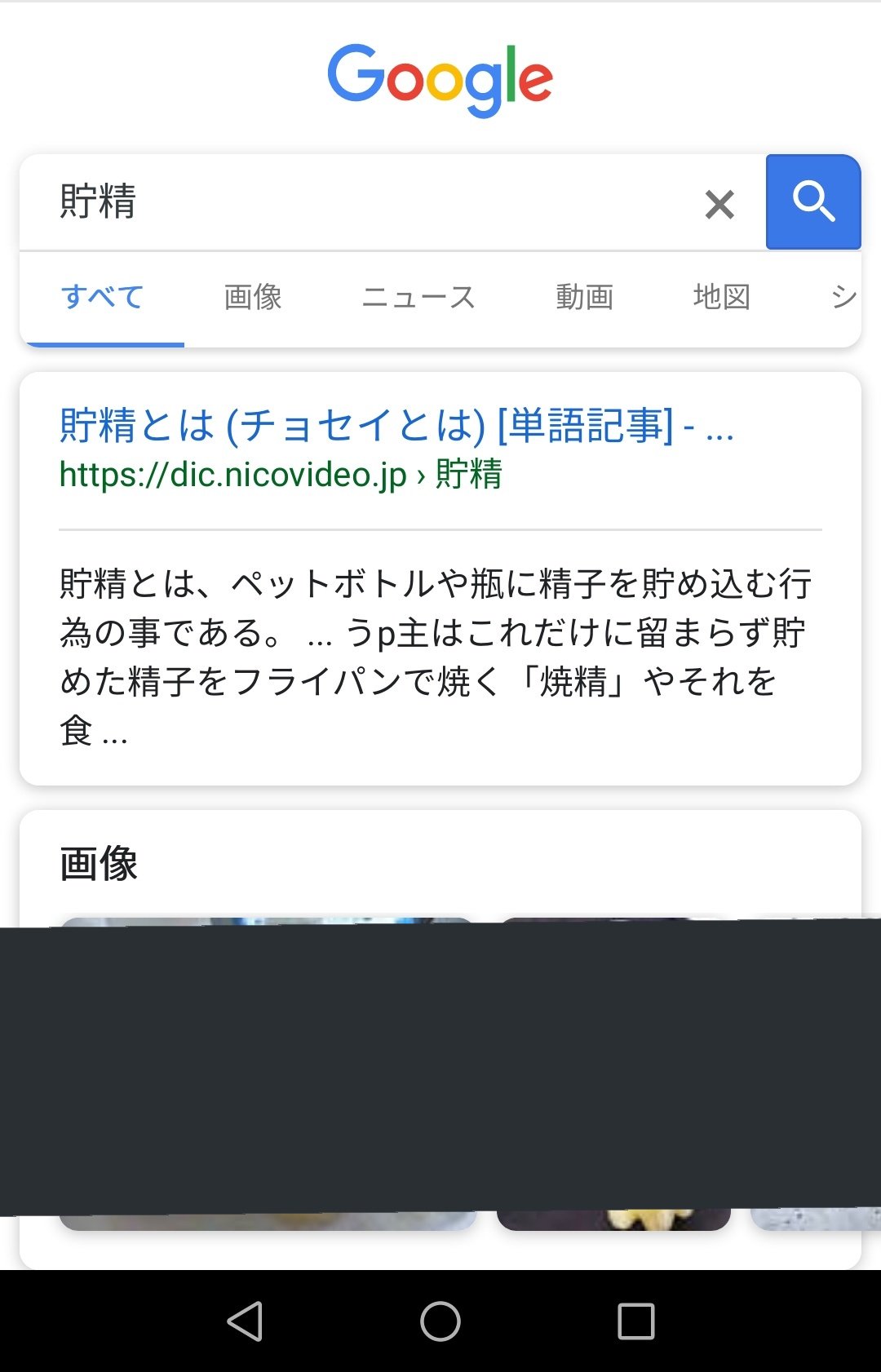 しのドン 在 Twitter レオパが貯精してうんたらみたいな呟きしてる人いて それどういう意味だっけ と思ってググったら 遅延受精だ覚えろバカども変なもん見せやがって まじきれそう T Co Ftvld8exvd Twitter