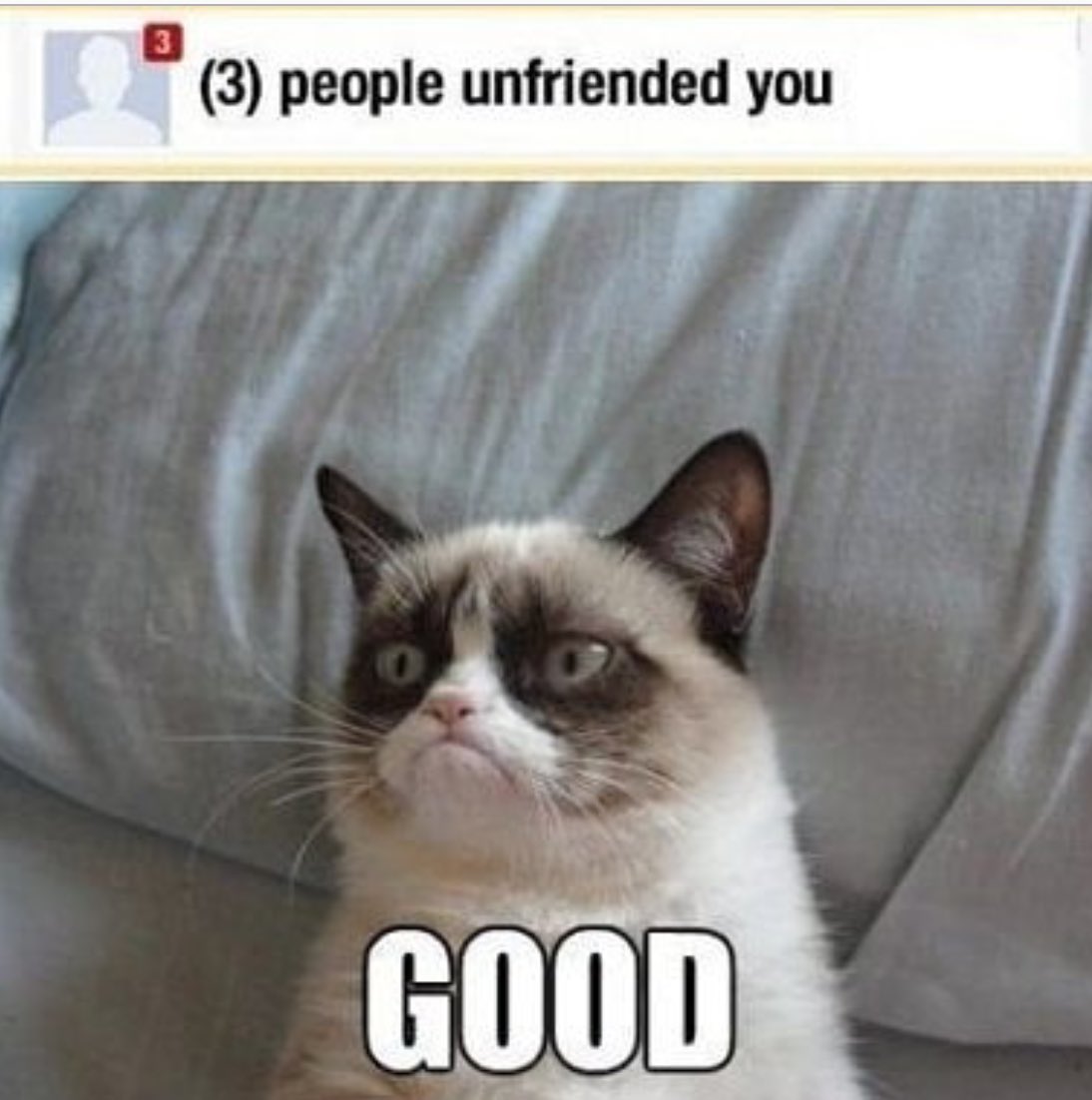 hi_its_lezamita's tweet photo. My spirit animal
#RIPGrumpy https://t.co/QjFiSafauO