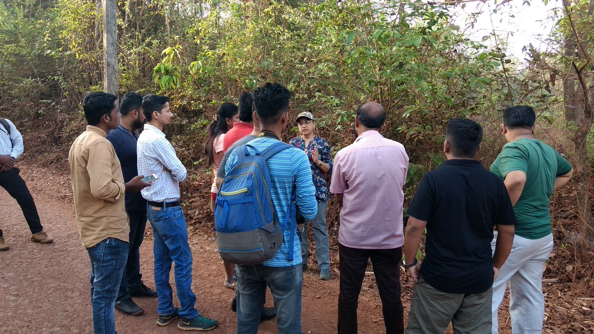 Today's nature trail for people from media & tourism sector organised by @TalukaDapoli. Special thanks to Mr Kiran Belose and his TEAM #TalukaDapoli #Tourism #DapoliNatureTrails #Nature #LearnWithFun #Plants #Birds #NatureAwareness #Biodiversity #JilpaPN