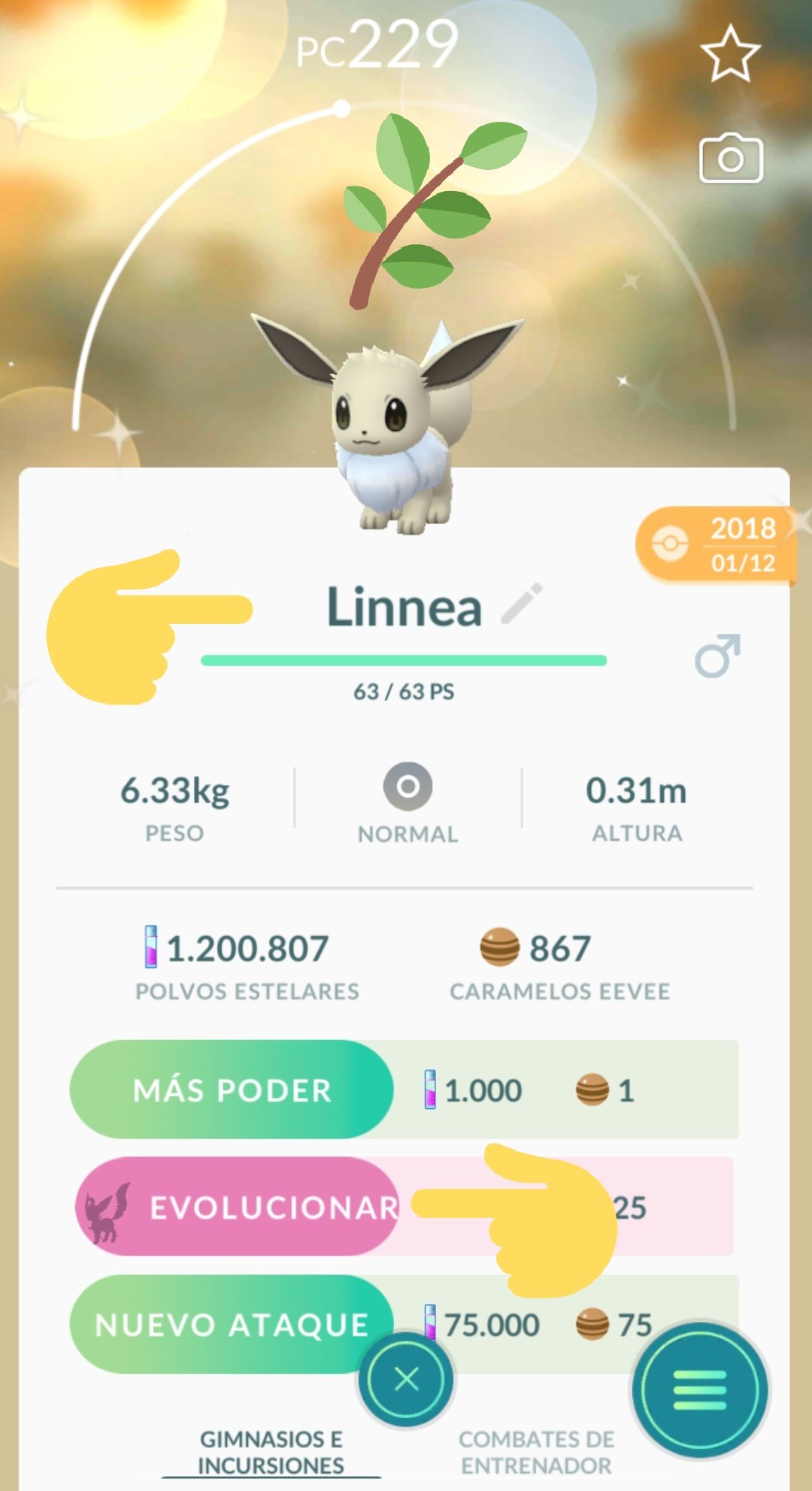 Amigos Pokemon Go On Twitter Podeis Conseguir A Las Nuevas Evoluciones De Eevee Cambiando El Nombre A Los Pokemon Solo Sirve 1 Vez Por Evolucion Rea Glaceon Linnea Leafeon Pokemongo