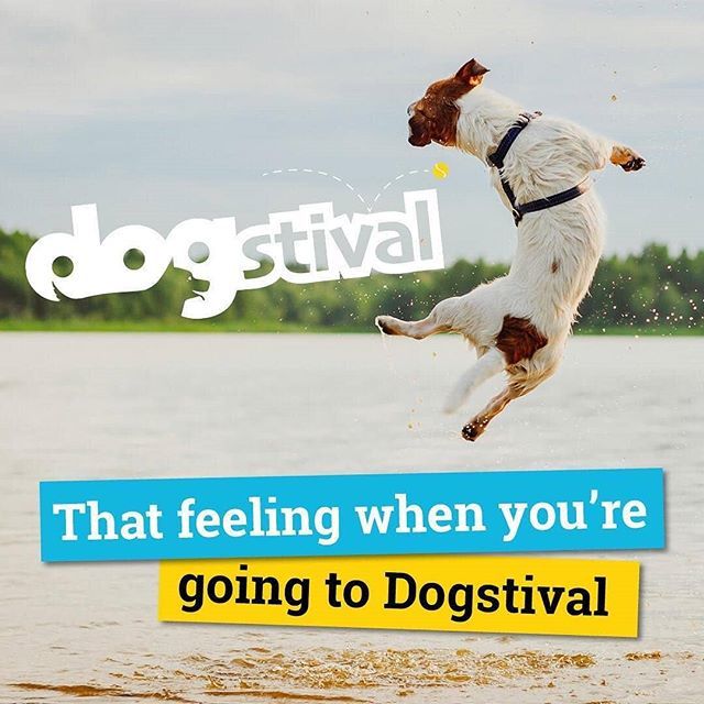 DogFuriendly's tweet image. Exactly how we're feeling this morning @dogstival! 😍
Give us a 🙌 if you're going! 🤭 We'll be in one of the centre tents, come and find us for a round of sling the sausage. 🌭
.
.
.
.
. ➖➖➖
#dog #dogs #doglover #doglife #dogsarefamily #dogdays #ukd… bit.ly/2w7ncCU