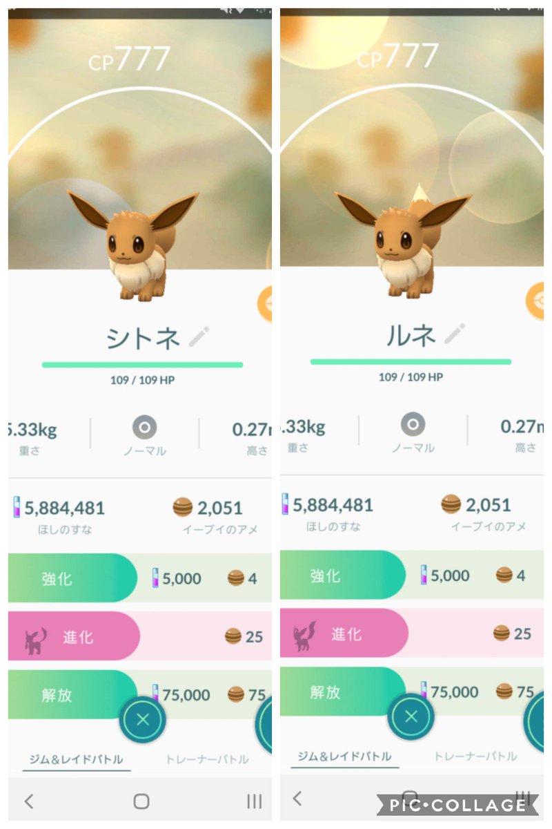 ポケモンgo 名前変更でイーブイが進化を変える リーフィアとグレイシアがアイテムなしで手に入る となりのモンスター屋さん となもん モンハン ポケモン 特撮 ゲーム関連ブログ
