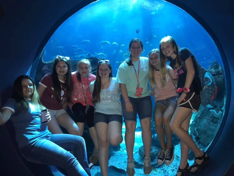 cullyhonortrip's tweet photo. It’s late...here’s some pictures from today...GA Aquarium! #cmshonortrip19 https://t.co/epTu5j3tb8