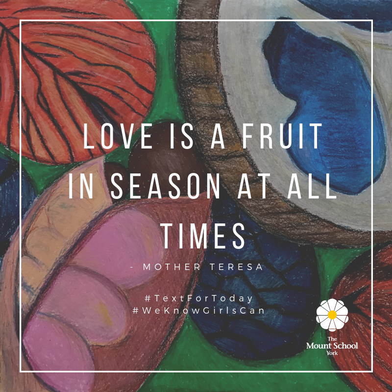 MountSchoolYork's tweet photo. Love is a fruit in season at all times. - Mother Teresa #TextForToday #WeKnowGirlsCan https://t.co/vKq2dpHRas