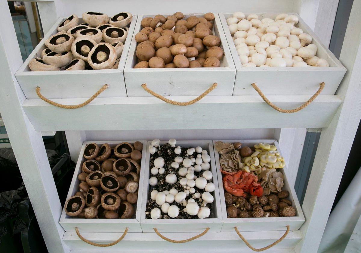 KerrigansMush's tweet image. Less than two weeks to go until Bloom 2019! We'll be at Stand 6 of the Fresh Produce Market and will have plenty of delicious mushrooms to go round… Who's joining us? #Bloom2019 #IrishEvents #Mushrooms #IrishBusiness