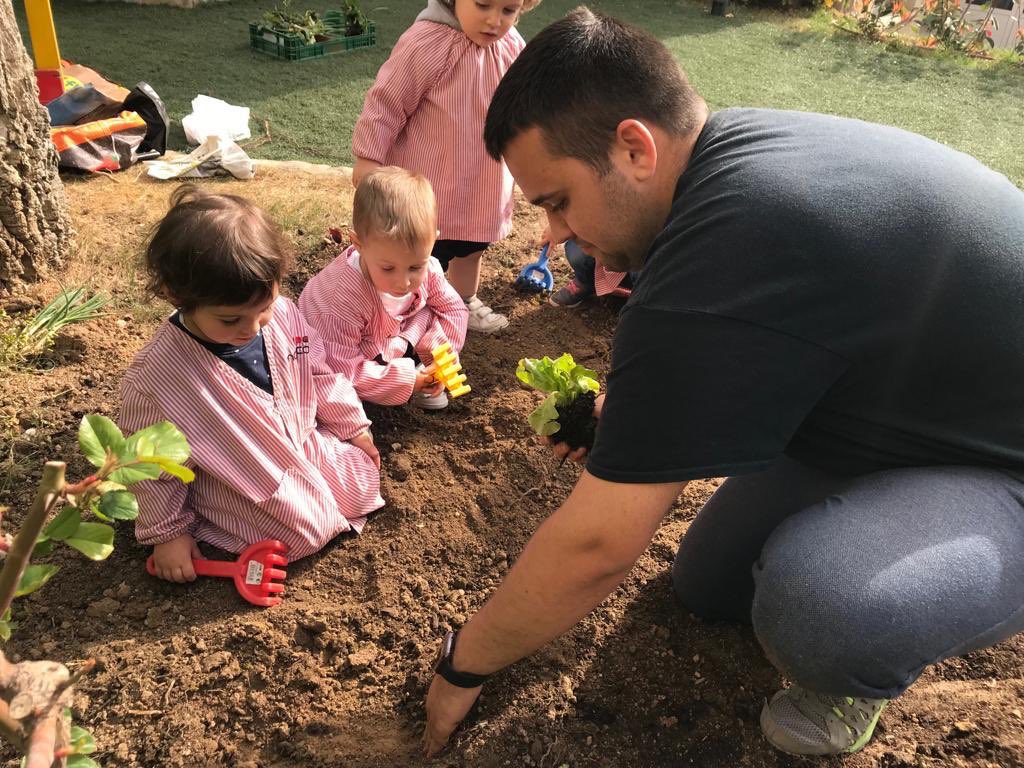 colmonalco's tweet image. Per acabar la Setmana de la Salut, ahir els més petits de l’escola van recollir els fruits que ells mateixos van plantar fa setmanes i han anat cuidant.
#setmanadelasalut #escolaverda #salut #esport #programaSI #llar #infantil #primària #secundària #monalco