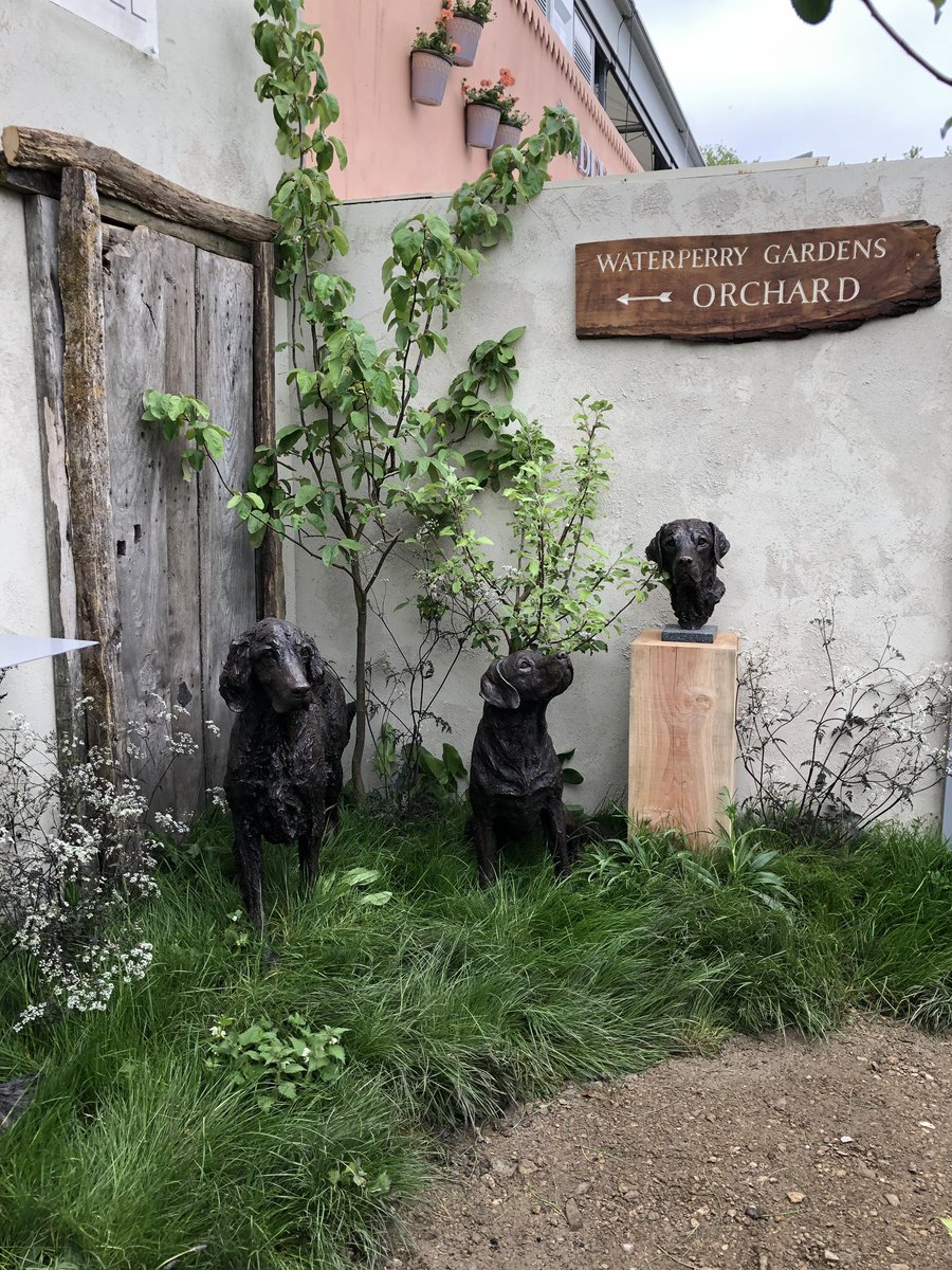pathavers's tweet image. If you are visiting #ChelseaFlowerShow do pop by to @tanyarussell sculpture stand PW 248 and see her gorgeous sculptures in @waterperry orchard @RacheldeThame @frostatwork @waterperrysimon plants from our nursery and planting up done by some of the garden team at waterperry.