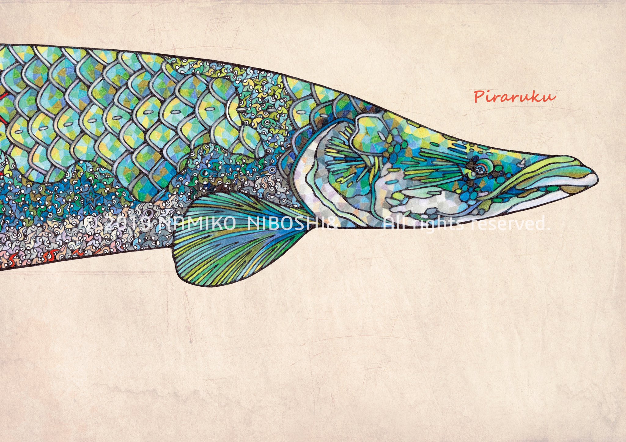 Namiko Niboshi イラスト図鑑 ピラルクー File174 2度目のピラルクーくん イラスト 魚 ピラルクー T Co Grz6f6wm Twitter