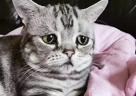 Весь месяц везде учения, а я в Новой Зеландии до октября(