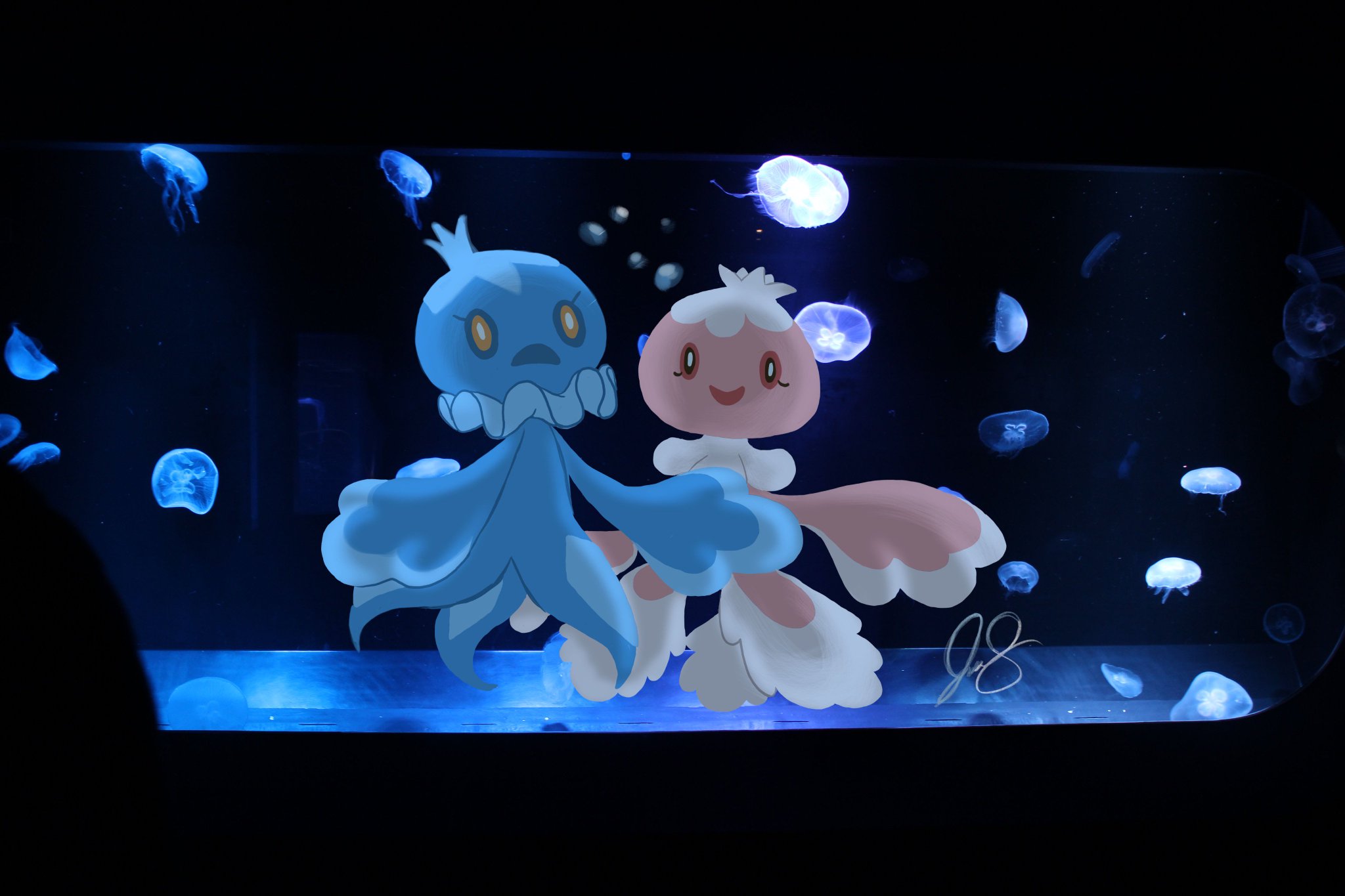 Jessica Soliz Some Frillish In A Jellyfish Tank Pokemon Jellyfish Myart Digitalart Photoshop Frillish Underwater Photo Aquarium T Co Cblsjjo5oy Jessica Soliz Some Frillish In A Jellyfish Tank Pokemon Jellyfish Myart Digitalart Photoshop Frillish Underwater Photo Aquarium T Co Cblsjjo5oy