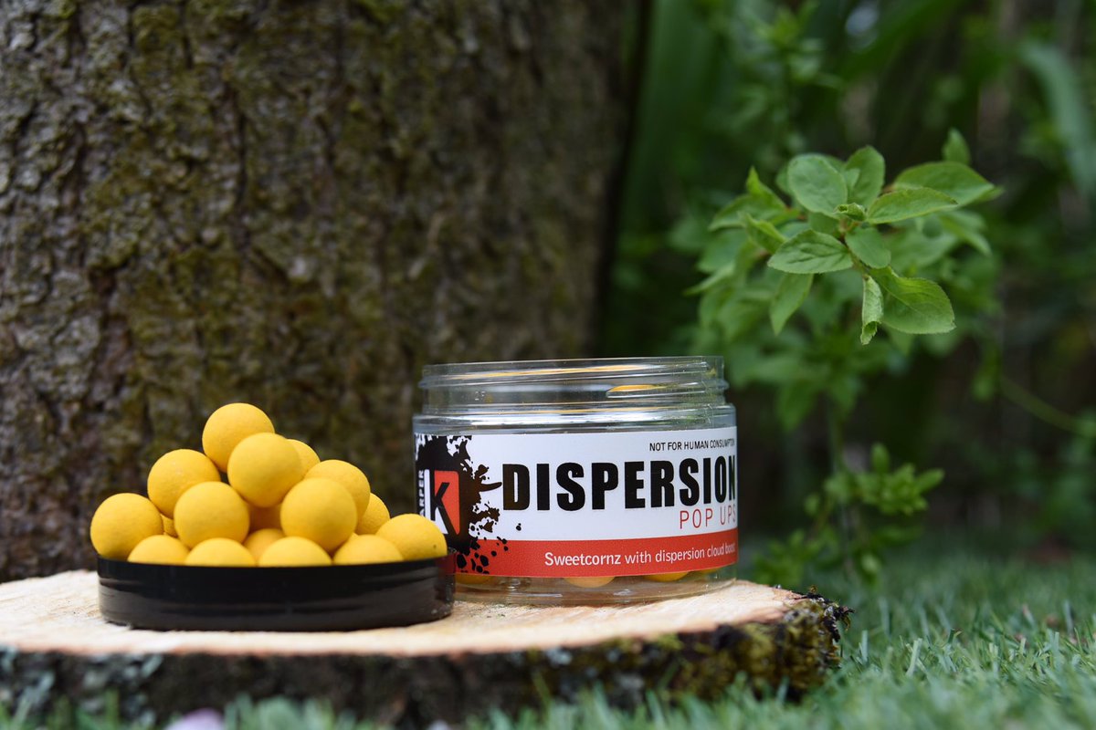 2 of a 4 haul catch for KARPER Consultant Stephen Balme, KARPER Dispersion Sweetcornz doing the business over the KARPER SG. #karperltd #carpfishing #bait